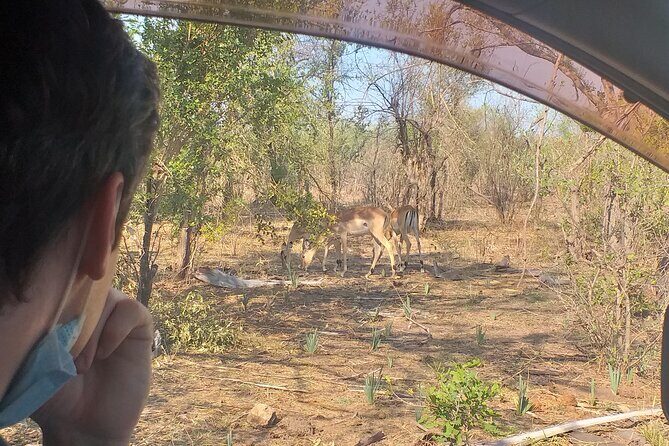 Airport, Hotel and local transfers in Victoria Falls - The Airport-to-Hotel Drive Through Wildlife Country