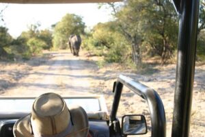 Baobab-Sunrise-Sunset-Vulture-Moonlight Safaris, 4 Options - Historic Victoria Falls First: Train Station to Victoria Falls Hotel