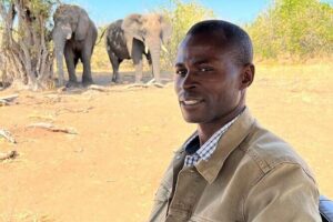 Chobe Botswana Full-Day Trip - Price and Value: Why $360 Makes Sense (and When It Won’t)