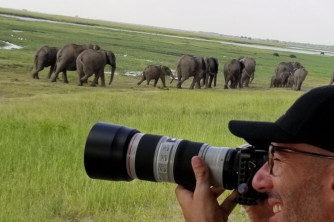 Chobe Day Trip From Victoria Falls Zimbabwe - Park access and what’s really included in the price