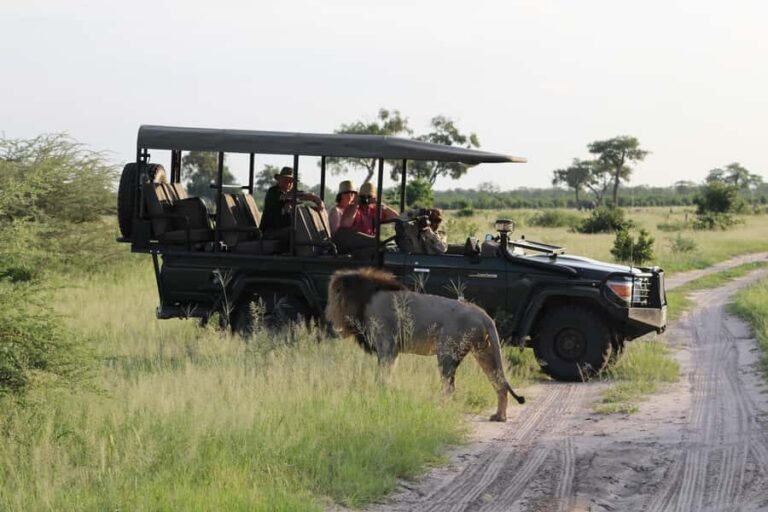 Chobe Day Trip from Victoria Falls, Zimbabwe - Border Crossings at Kazungula: What You Should Get Right