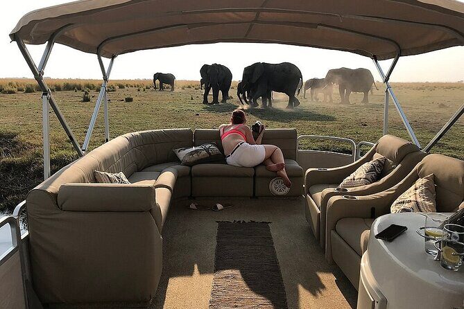 Chobe Day Trip from Victoria Falls, Zimbabwe - Practical Packing and Rules: What to Bring for a Smooth Day