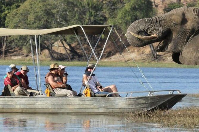 Chobe Extended Day Trip from Victoria Falls - Zimbabwe - Zambezi National Park Transfer: A Wildlife Bonus on the Drive
