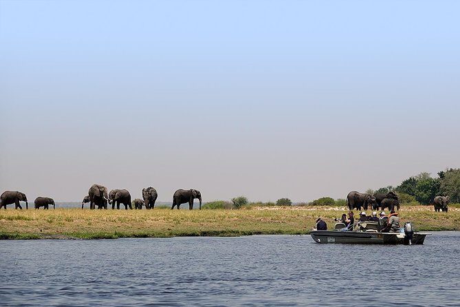 Chobe Full Day Trip From Victoria Falls - The 7:00 AM Start and Border Reality Check