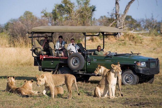 Chobe Sunrise upto Sunset Day trip from Victoria Falls 5AM - 7PM - Key things I’d circle before you go