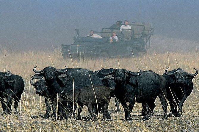 Chobe Sunrise upto Sunset Day trip from Victoria Falls 5AM - 7PM - Comfort and what to pack for a long day