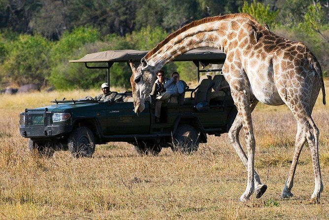 Chobe Sunrise upto Sunset Day trip from Victoria Falls 5AM - 7PM - Value for money: $230 for a cross-border full-day