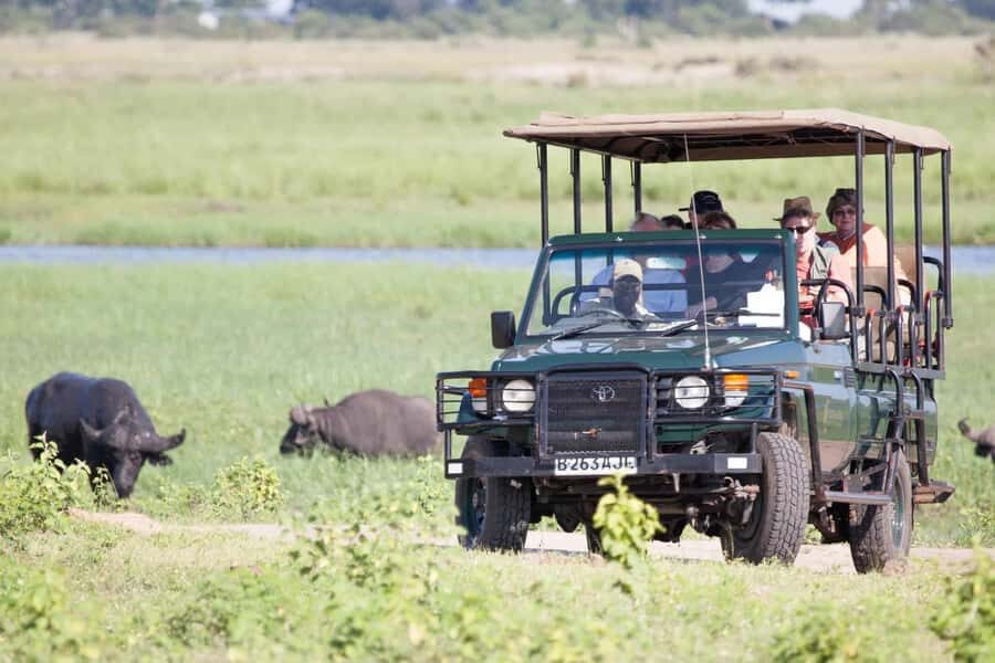 From Kasane: Chobe National Park Full Day Wildlife Safari - Price and what $122 really buys (and what it doesn’t)