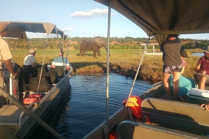 From Victoria Falls: Chobe National Park Small Group Tour - Price and value: what $120 covers (and what costs extra)