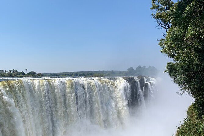 Guided Tour of the Falls Rainforest - Entry works through the park gate and vouchers (budget time for it)