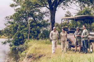 Safari Game Drive in Zambezi National Park with Hotel Pickup - Zambezi National Park Game Drive: Unfenced Wilderness Time