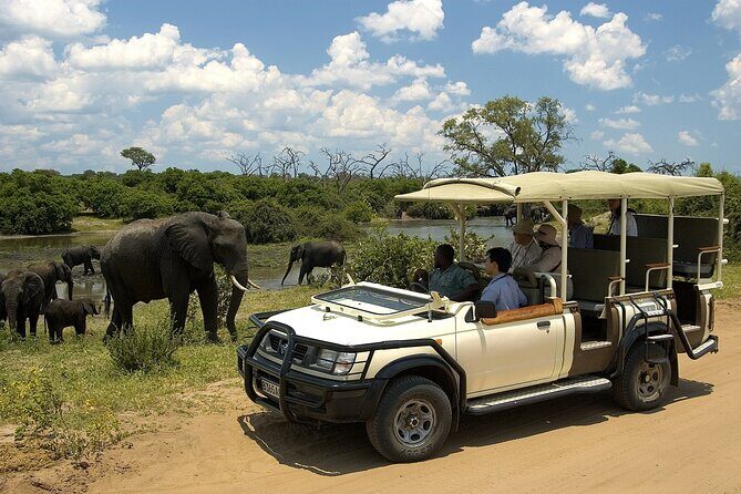 Small Group: Zambezi National Park Guided Game Drive - Who this safari suits best (and who might skip it)