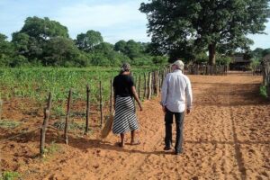 Victoria Falls Cultural Private Village Tour - Entering Victoria Falls on foot: what you’re really buying