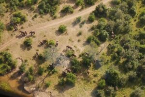Victoria Falls Helicopter Tour - The best part: seeing Victoria Falls from above, from both sides