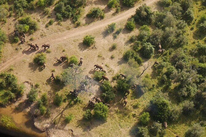 Victoria Falls Helicopter Tour - The best part: seeing Victoria Falls from above, from both sides