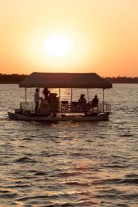 Victoria Falls: Private Sunset Cruise on the Zambezi River - Wildlife and Birds in the Golden Hour: What You’ll Actually Be Looking For