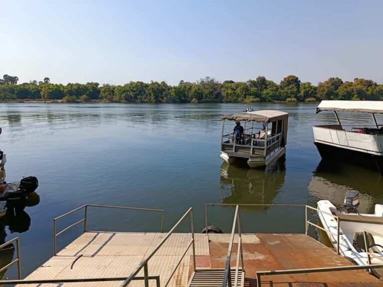 Victoria Falls: Private Zambezi River Birdwatching Safari - Birdwatching targets: what you can realistically spot