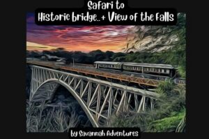 Walking Safari to the Falls, Bridge and beyond with Savannah - The Border Crossing: The Part That Usually Eats Time